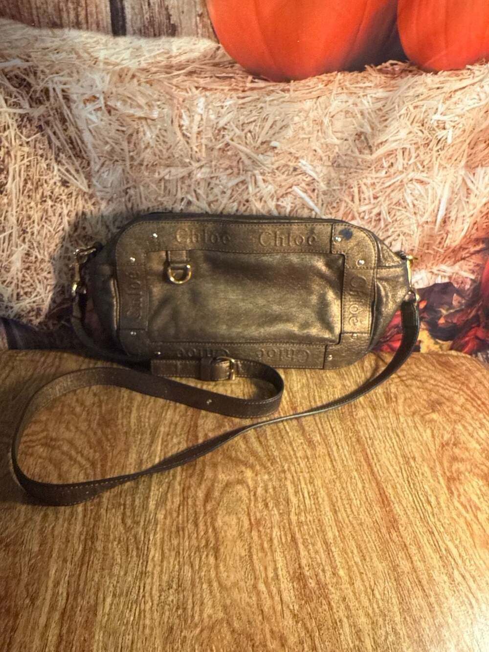 Chloé Eclipse Bronze Metallic Leather Crossbody Bag